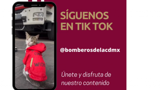 Síguenos en TikTok